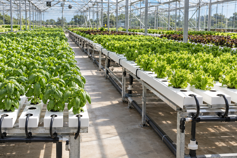 Fertigation & Hydroponics
