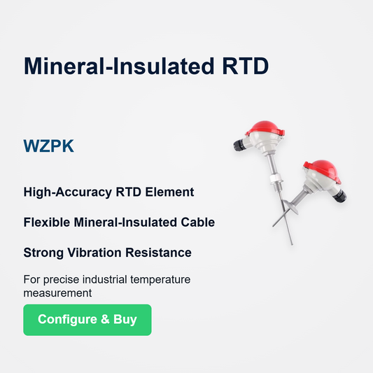 Supmea WZPK Armored RTD